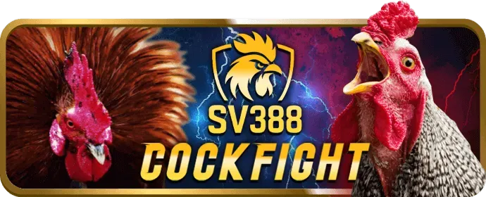 Cấp phép và minh bạch sunwim code